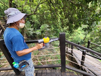 中市府加強防治大坑步道荔枝椿象