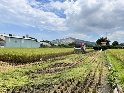 中市1期作稻草剪段翻耕補助 即日起至7月31日開放申請