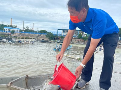 共同推廣海洋環境意識 中市府放流魚苗增漁業資源