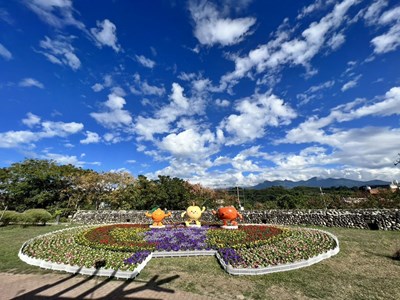 河階廣場上的四季草花區，外圈粉紅色的是四季海棠、紫色的是矮牽牛、紅色的是一串紅、黃色的是萬壽菊。