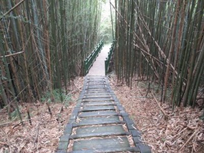 梨之鄉休閒農業區-穿霧步道