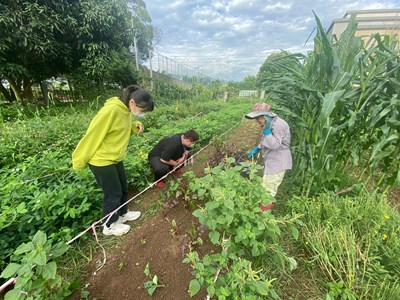 環保農園作農友