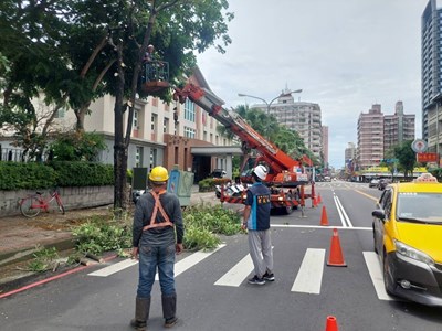 建設局加強路修剪與清淤