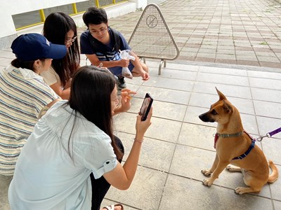 講師以實作帶民眾實踐為毛孩拍照的技巧